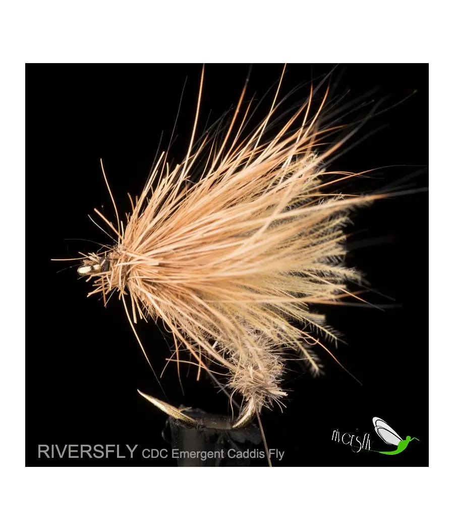 Mouche Émergent Sedge CDC