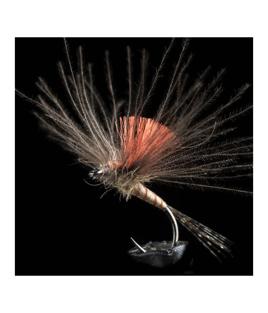 Éphémère Light Brown Pêche a la Mouche