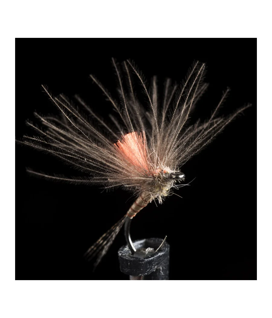 Éphémère Light Brown Pêche a la Mouche