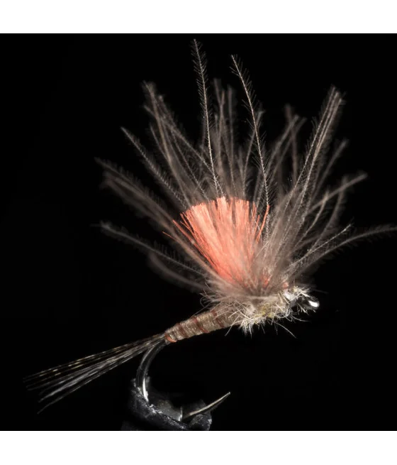 Efemera Light Brown pesca a mosca