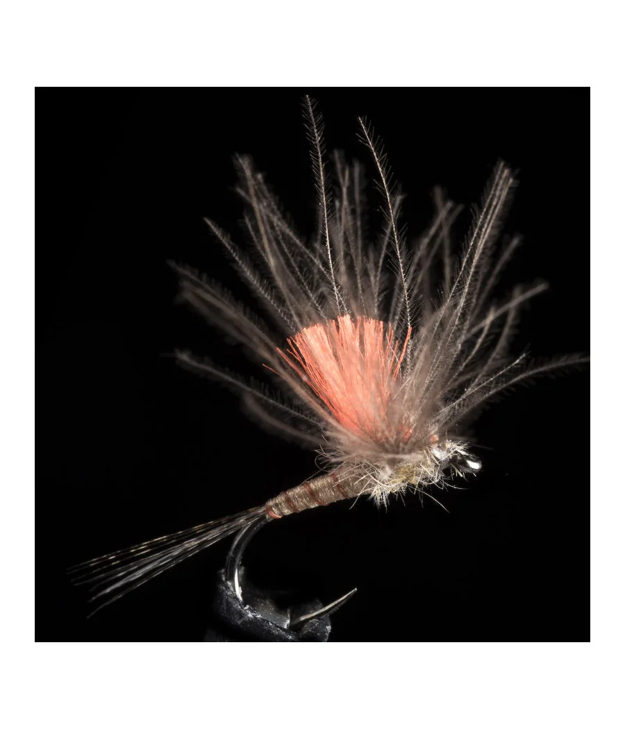 Éphémère Light Brown Pêche a la Mouche Éphémère Light Brown Pêche a la Mouche