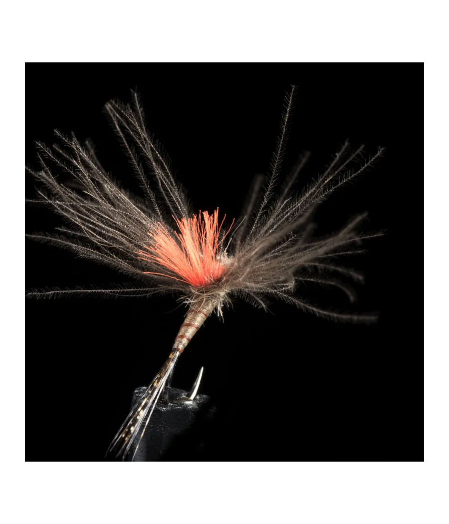 Éphémère Light Brown Pêche a la Mouche