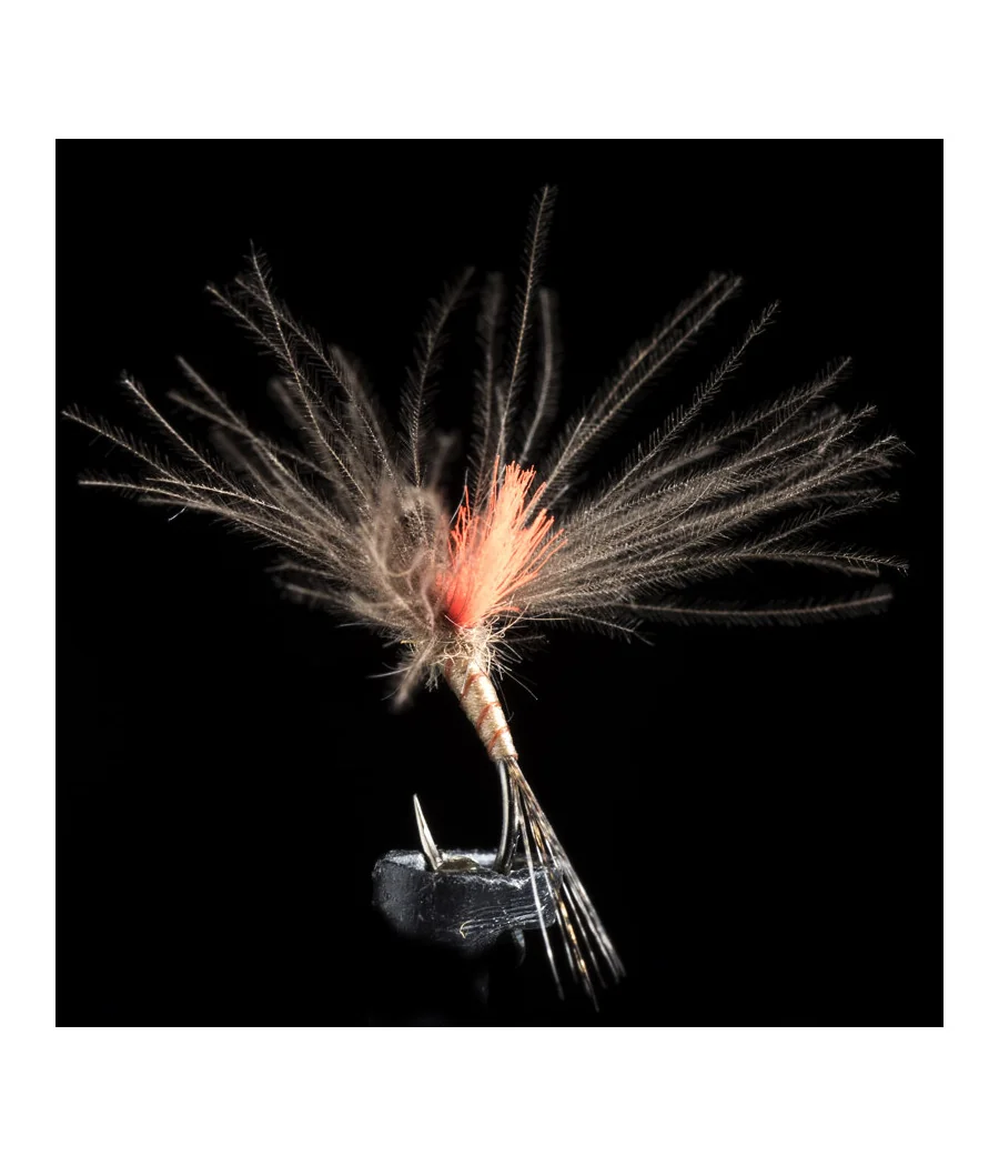 Éphémère Light Brown Pêche a la Mouche