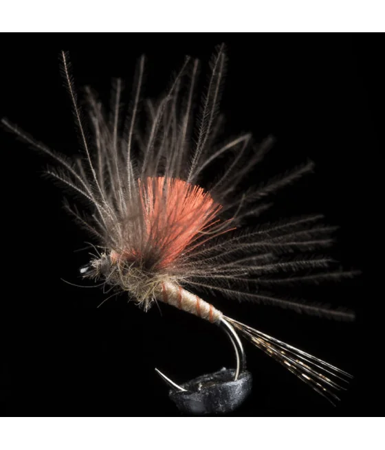 Efemera Light Brown pesca a mosca
