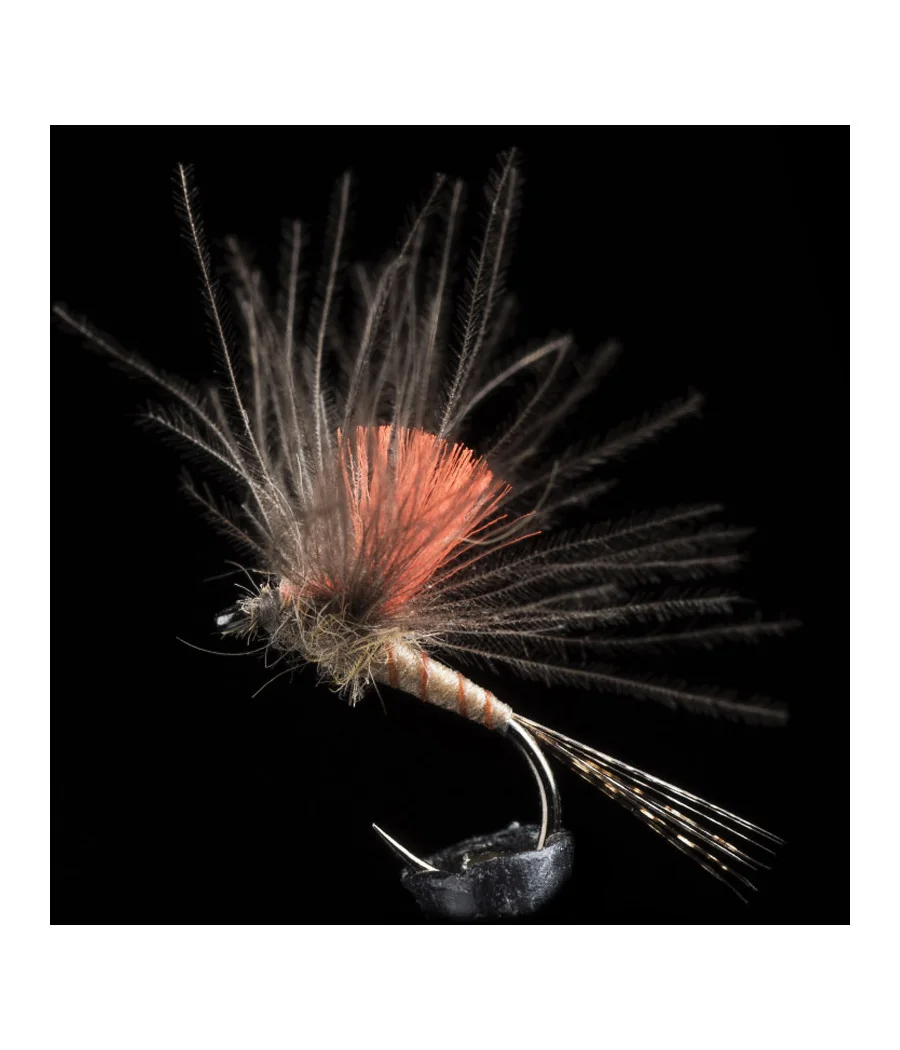 Éphémère Light Brown Pêche a la Mouche