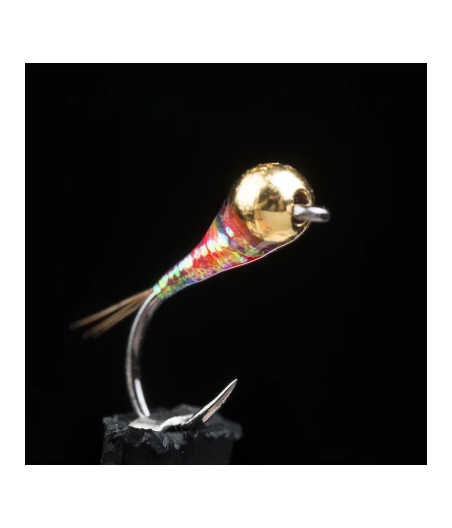 Nimphe Perdigon Salmo Pêche a la Mouche