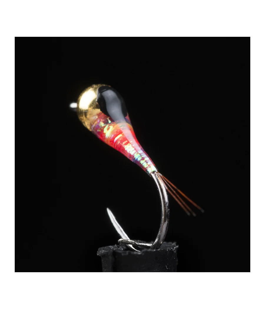 Nimphe Perdigon Salmo Pêche a la Mouche