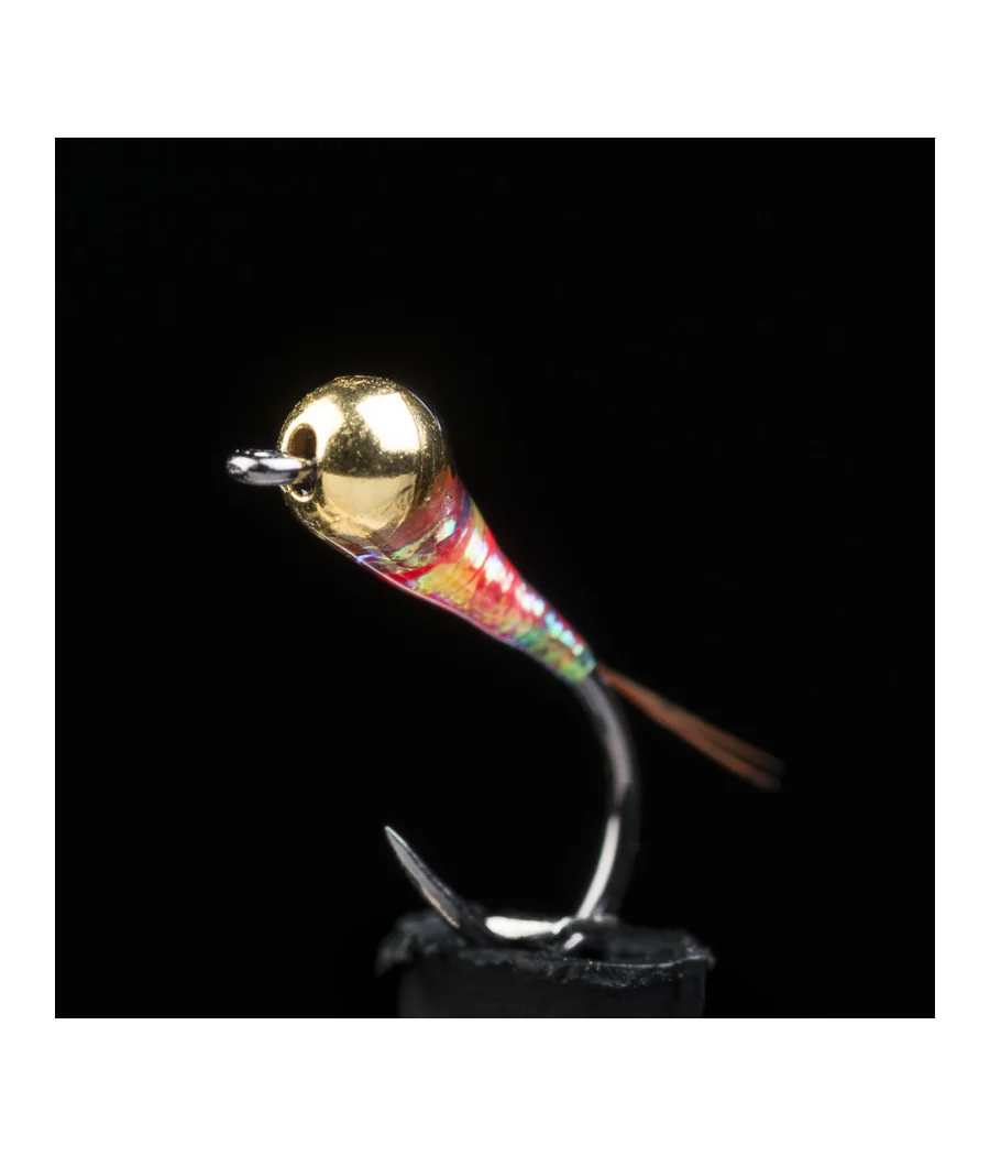 Nimphe Perdigon Salmo Pêche a la Mouche