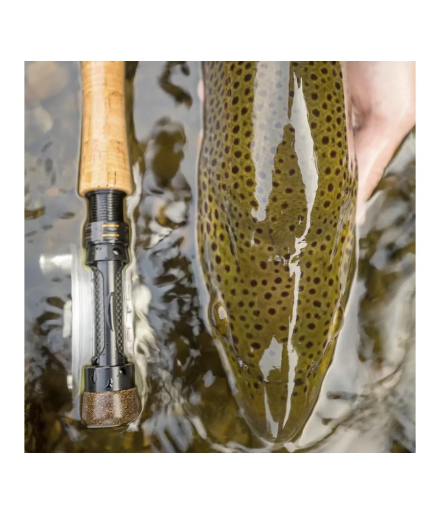 Caña Cortland MKII Competición Nymph Pesca con Mosca