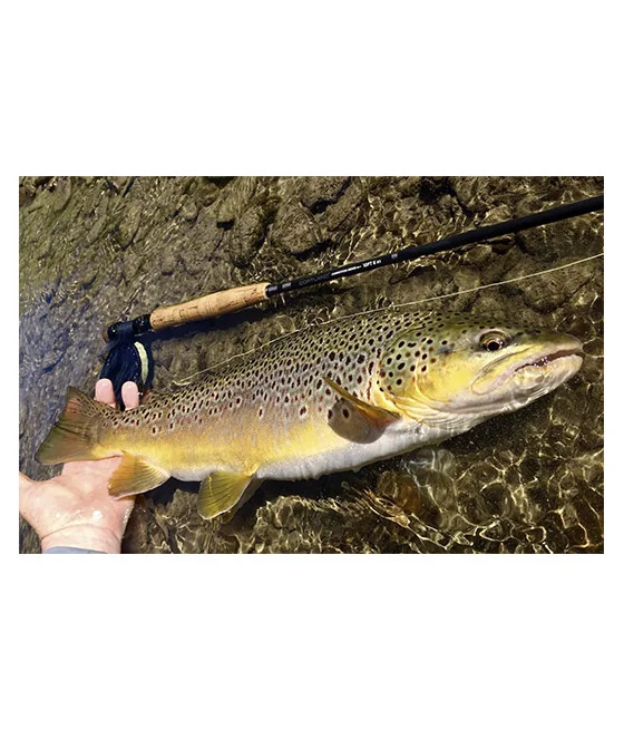 Caña Cortland MKII Competición Nymph Pesca con Mosca