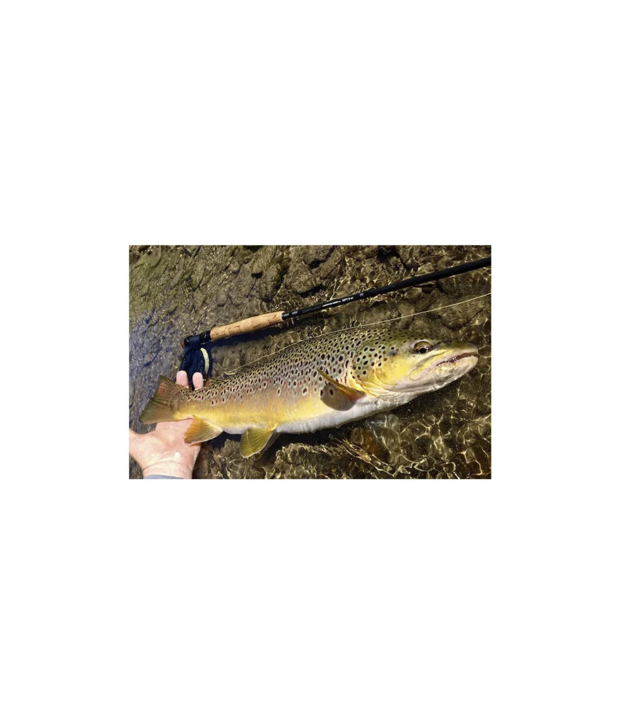 Caña Cortland MKII Competición Nymph Pesca con Mosca