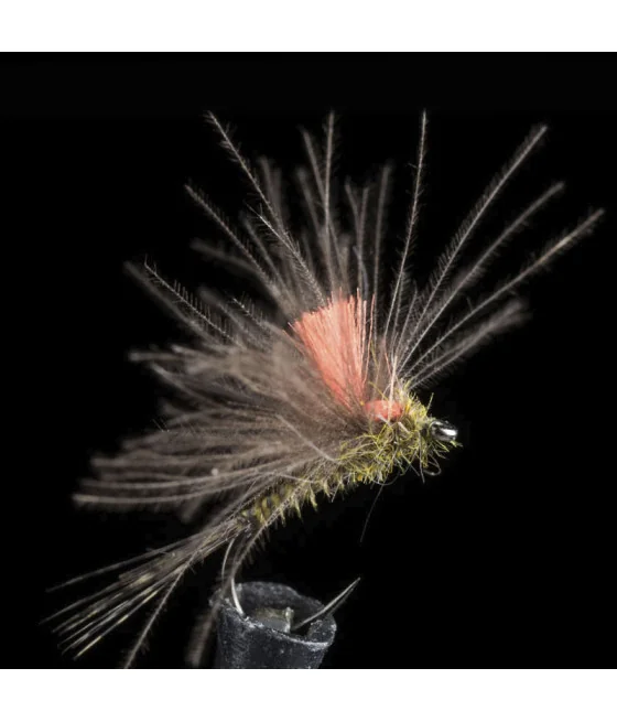 Efemera Oliva CDC Pesca con Mosca Efemera Oliva CDC Pesca con Mosca