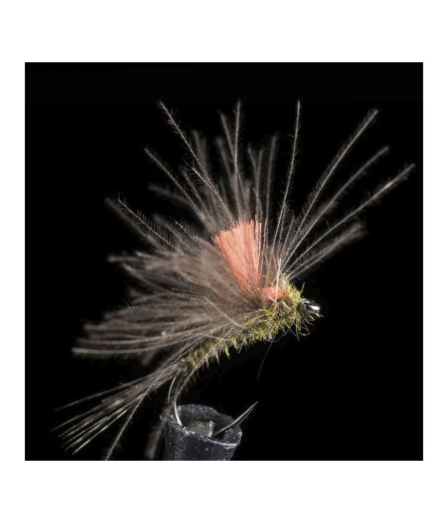 Efemera Oliva CDC Pesca con Mosca