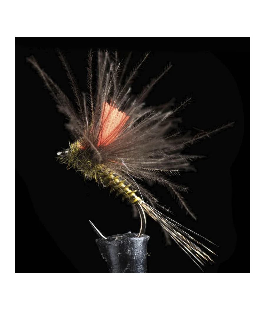 Efemera Oliva CDC Pesca con Mosca Efemera Oliva CDC Pesca con Mosca