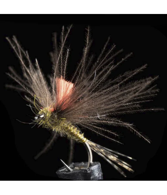 Efemera Oliva CDC Pesca con Mosca Efemera Oliva CDC Pesca con Mosca