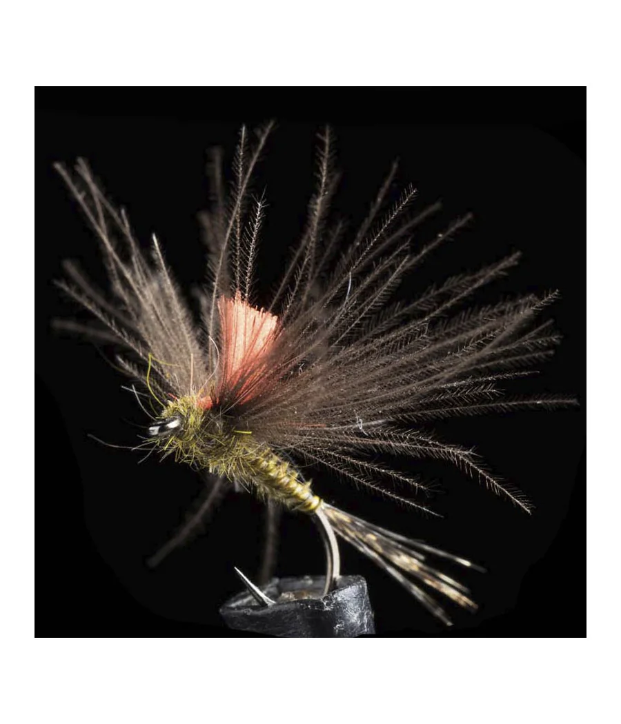 Efemera Oliva CDC Pesca con Mosca