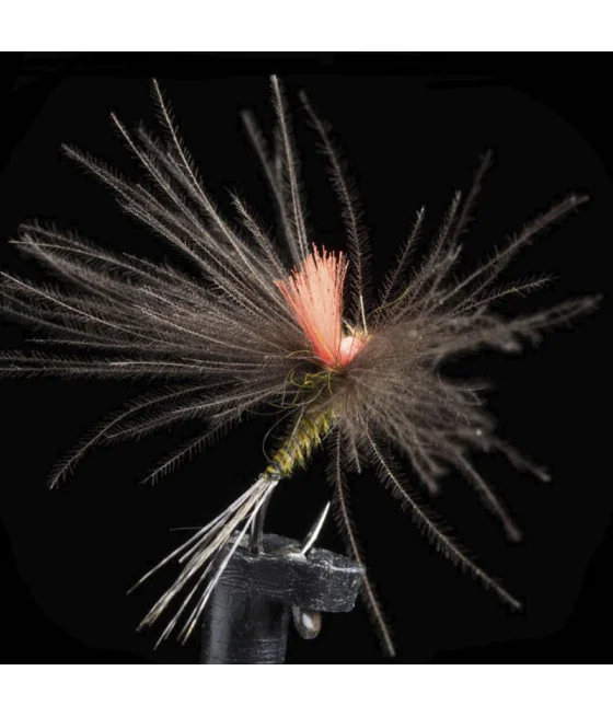 Efemera Oliva CDC Pesca con Mosca Efemera Oliva CDC Pesca con Mosca