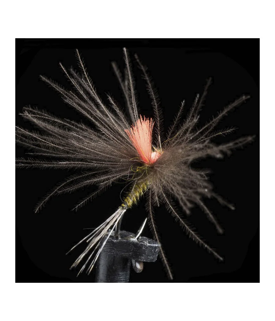 Efemera Oliva CDC Pesca con Mosca