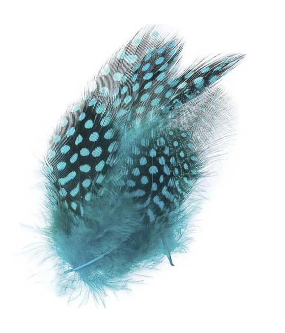 Plumas de Gallina de Guinea Hackles