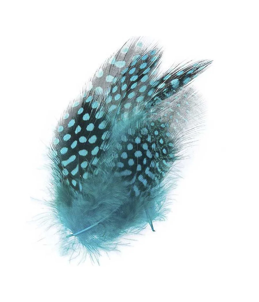 Guinea Fowl Plumage Hackles by Kingfisher Guinea Fowl Plumage Hackles by Kingfisher