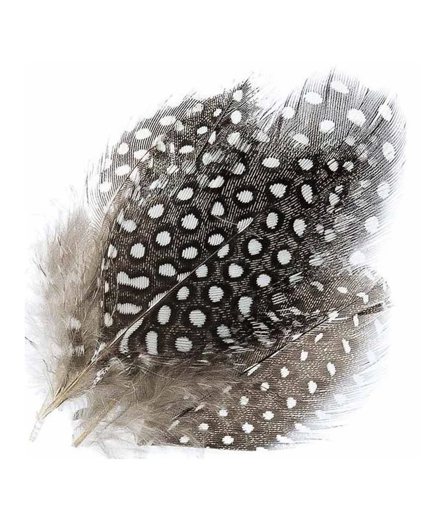 Guinea Fowl Plumage Hackles by Kingfisher