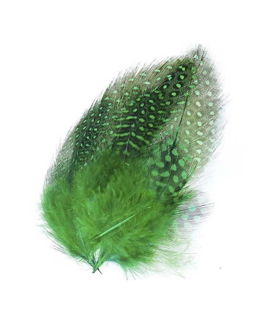 Guinea Fowl Plumage Hackles by Kingfisher