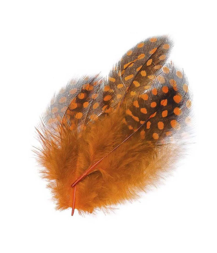 Guinea Fowl Plumage Hackles by Kingfisher