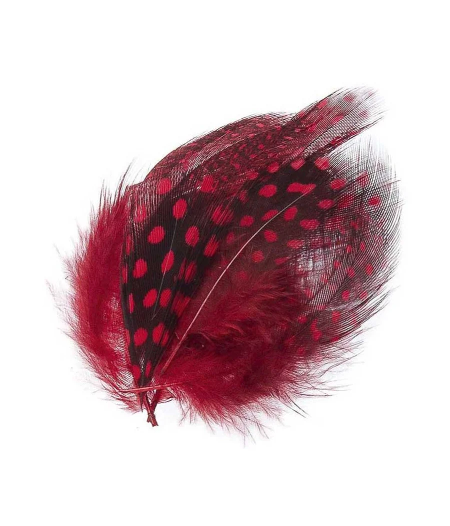Guinea Fowl Plumage Hackles by Kingfisher