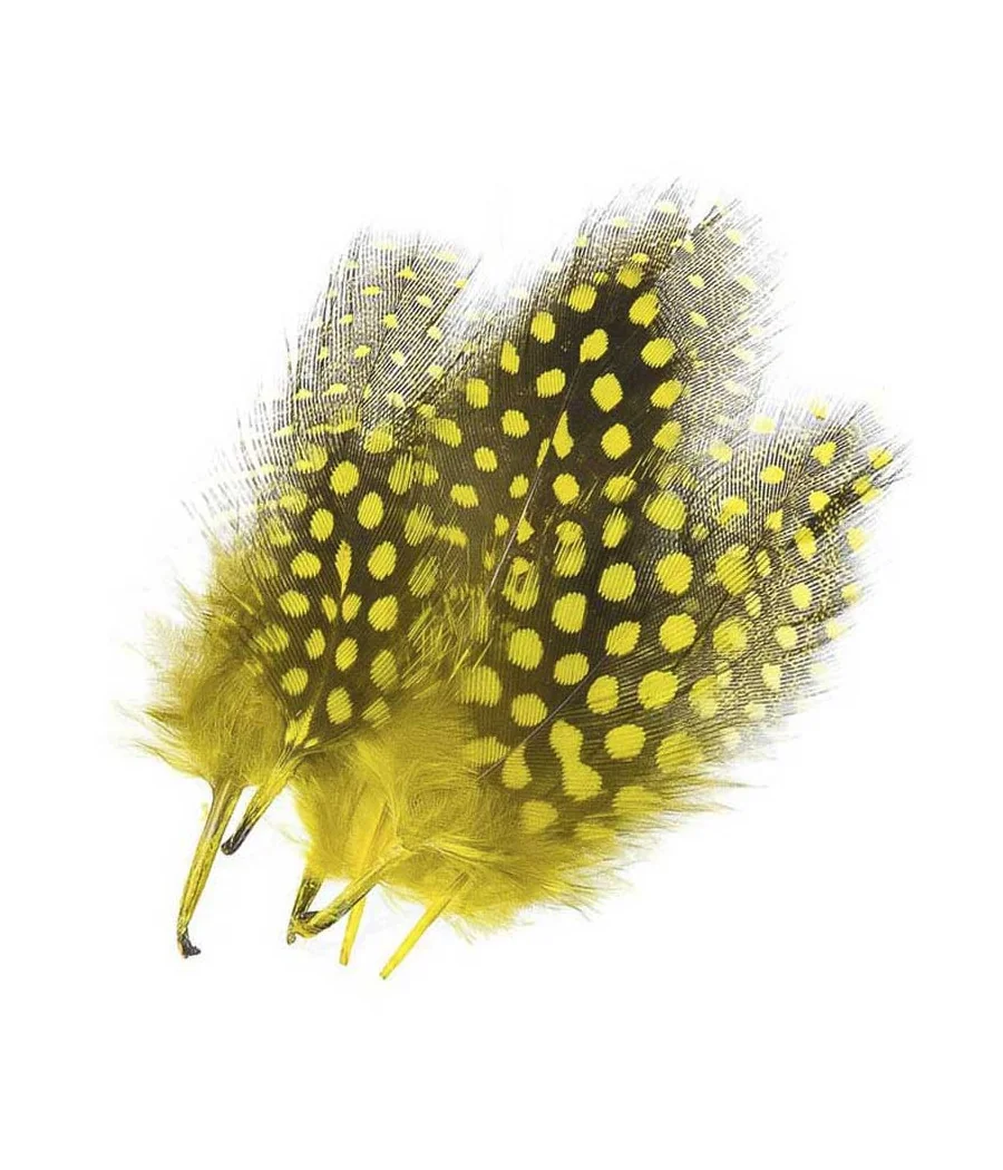 Guinea Fowl Plumage Hackles by Kingfisher