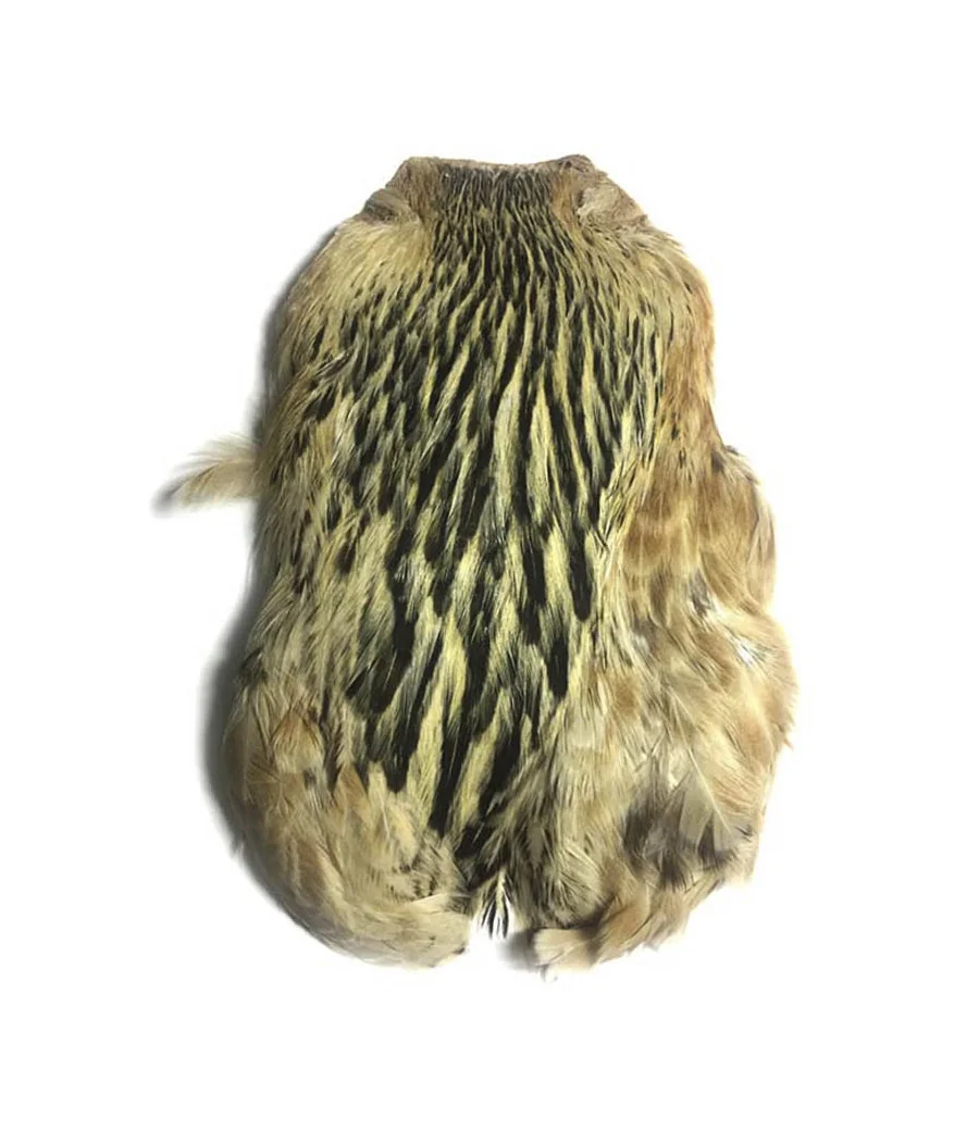Cuello de Gallina Kingfisher Cuello de Gallina Kingfisher
