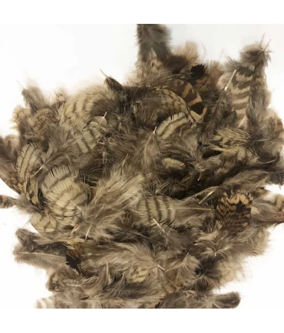 Plumas de Becada Veniard Montaje de Moscas