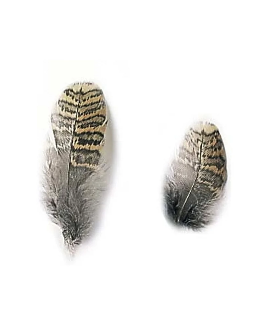 Woodcock Feathers by Veniard. Fly Tying