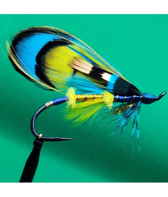 Mosca de Salmon Ucrania