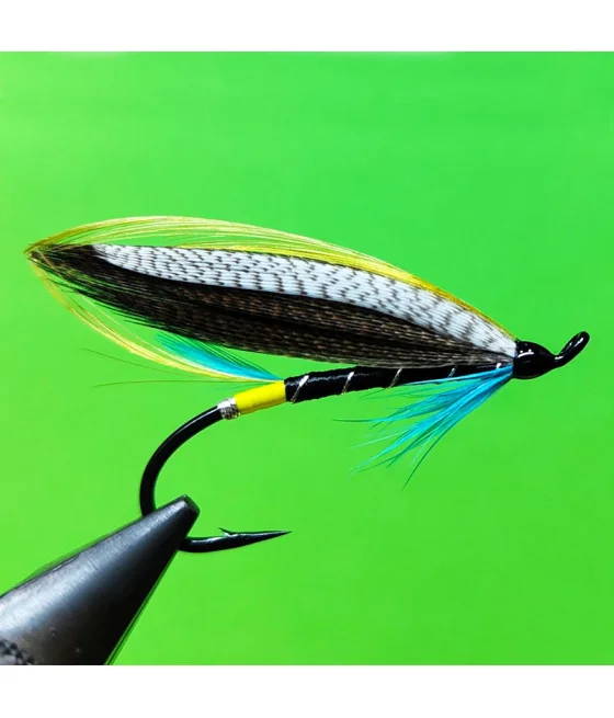 Blue Charm Feather Salmon Fly