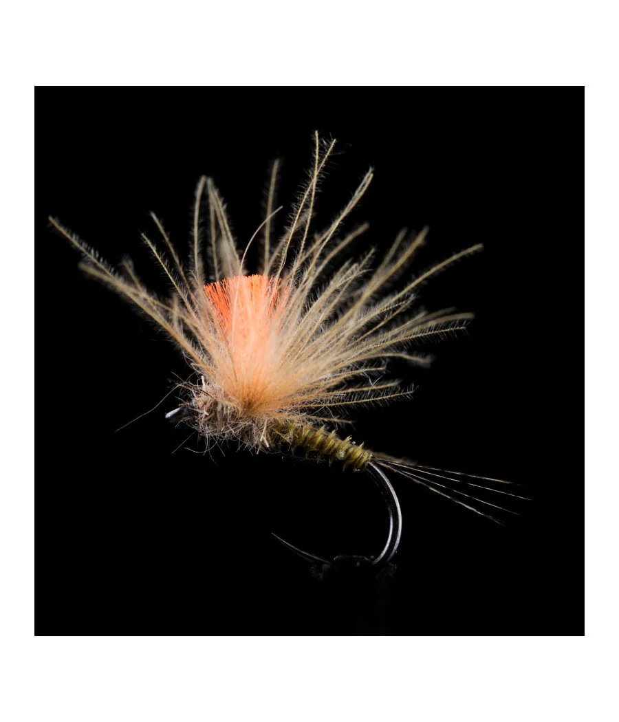 Golden Olive CDC May Fly by Riversfly