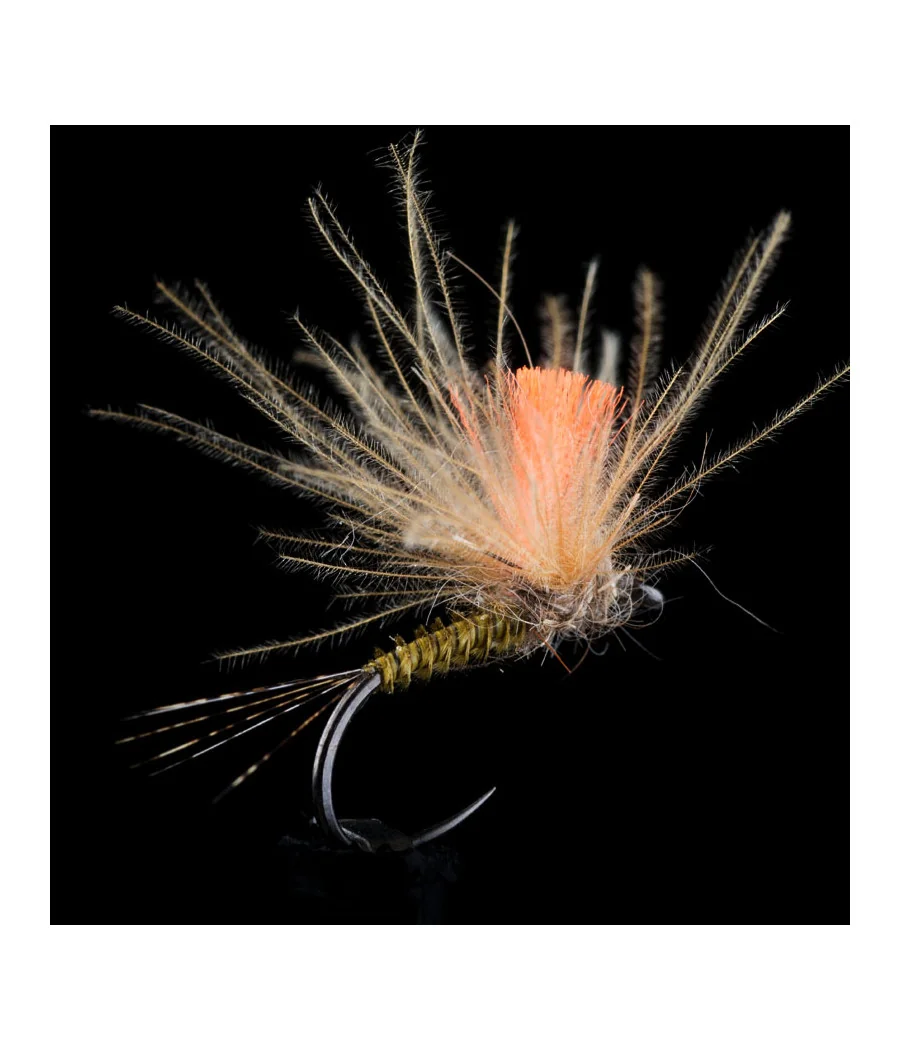 Mouche Pêche Éphémère Golden Olive CDC