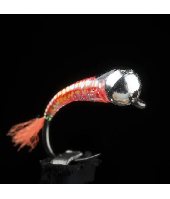 Ninfa Perdigón Orange Shrimp