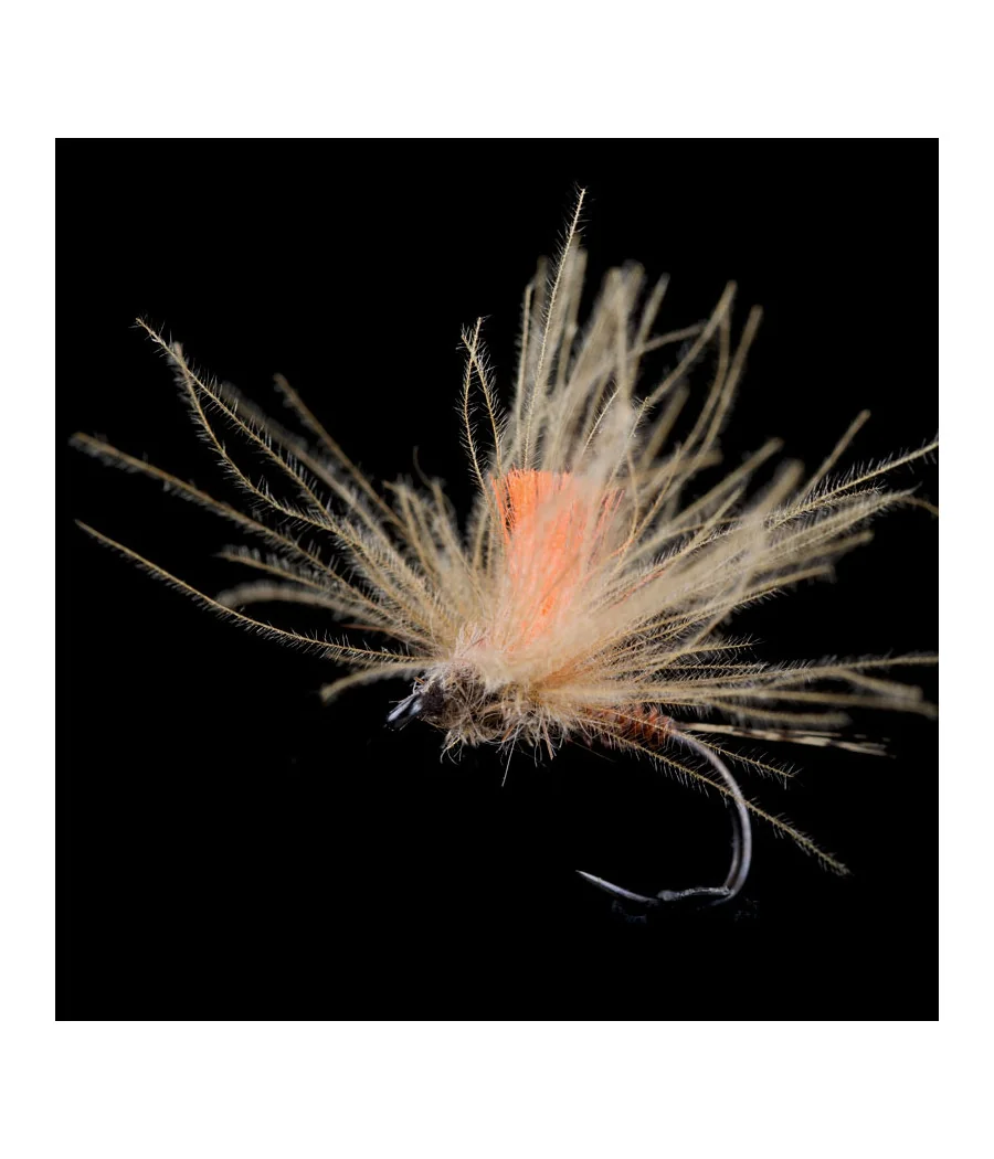 Efémera Pardón Pesca con Mosca