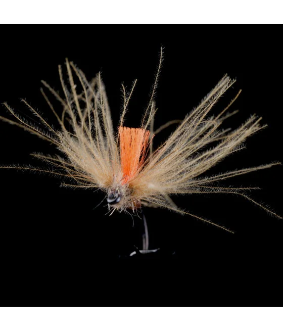 Efémera Pardón Pesca con Mosca