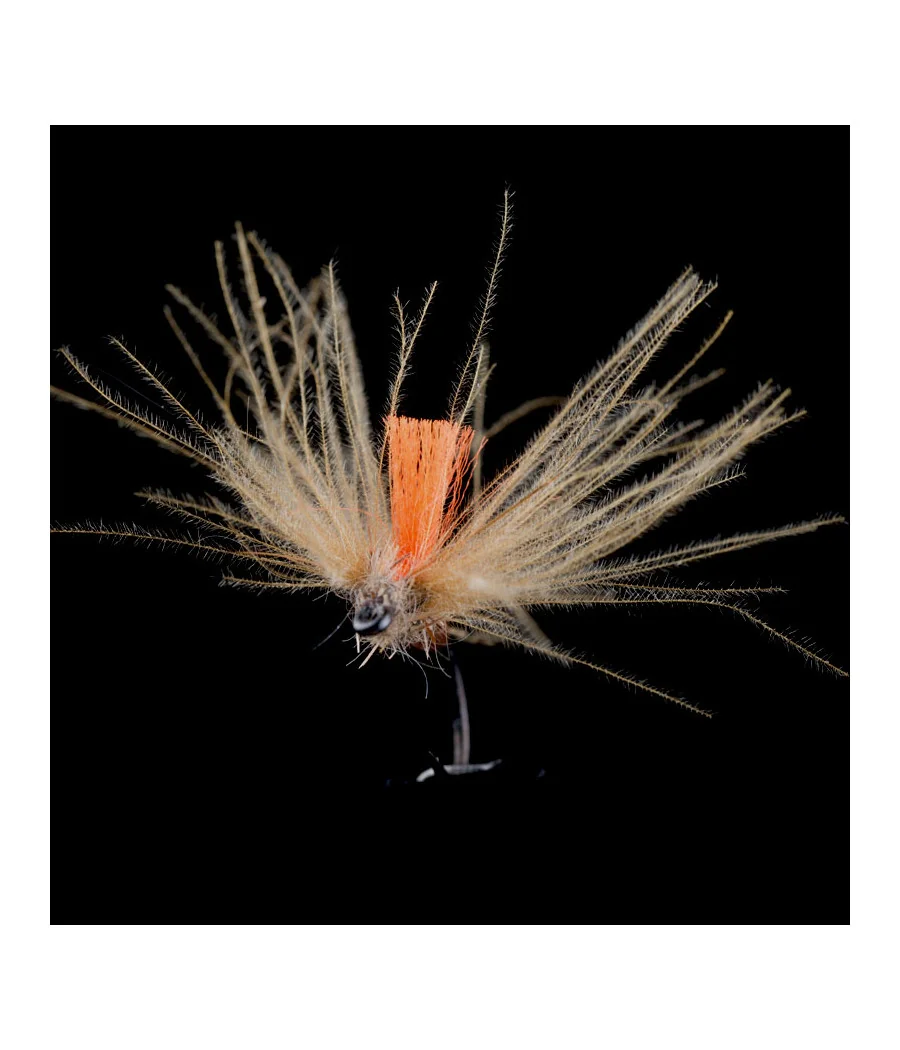 Efémera Pardón Pesca con Mosca