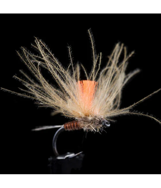 Efémera Pardón Pesca con Mosca