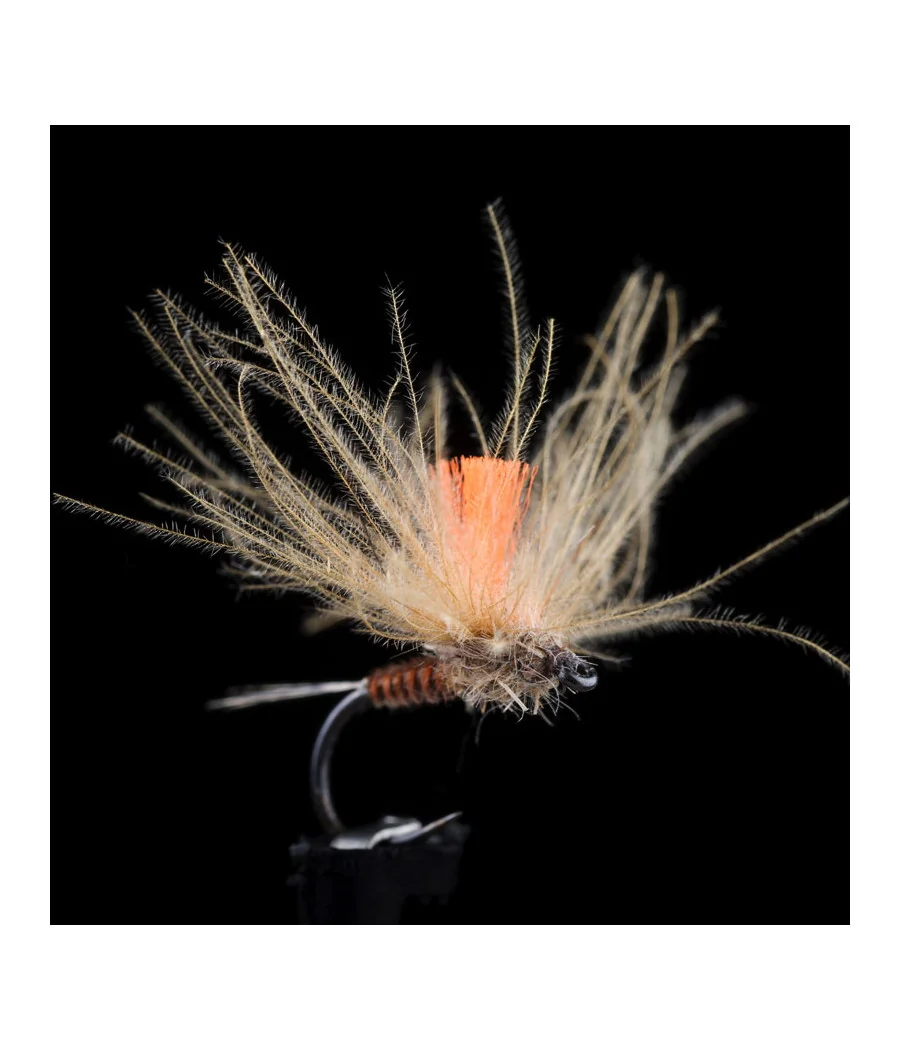 Efémera Pardón Pesca con Mosca