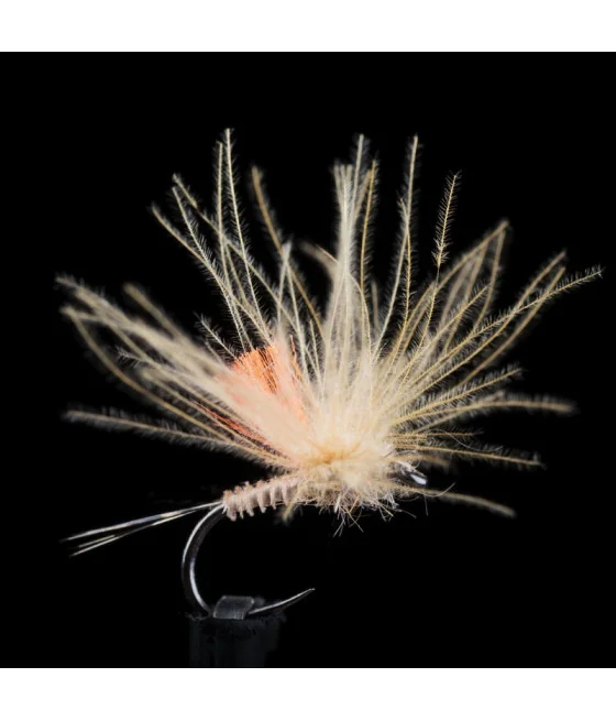 Éphémère Tan CDC Pêche a la Mouche