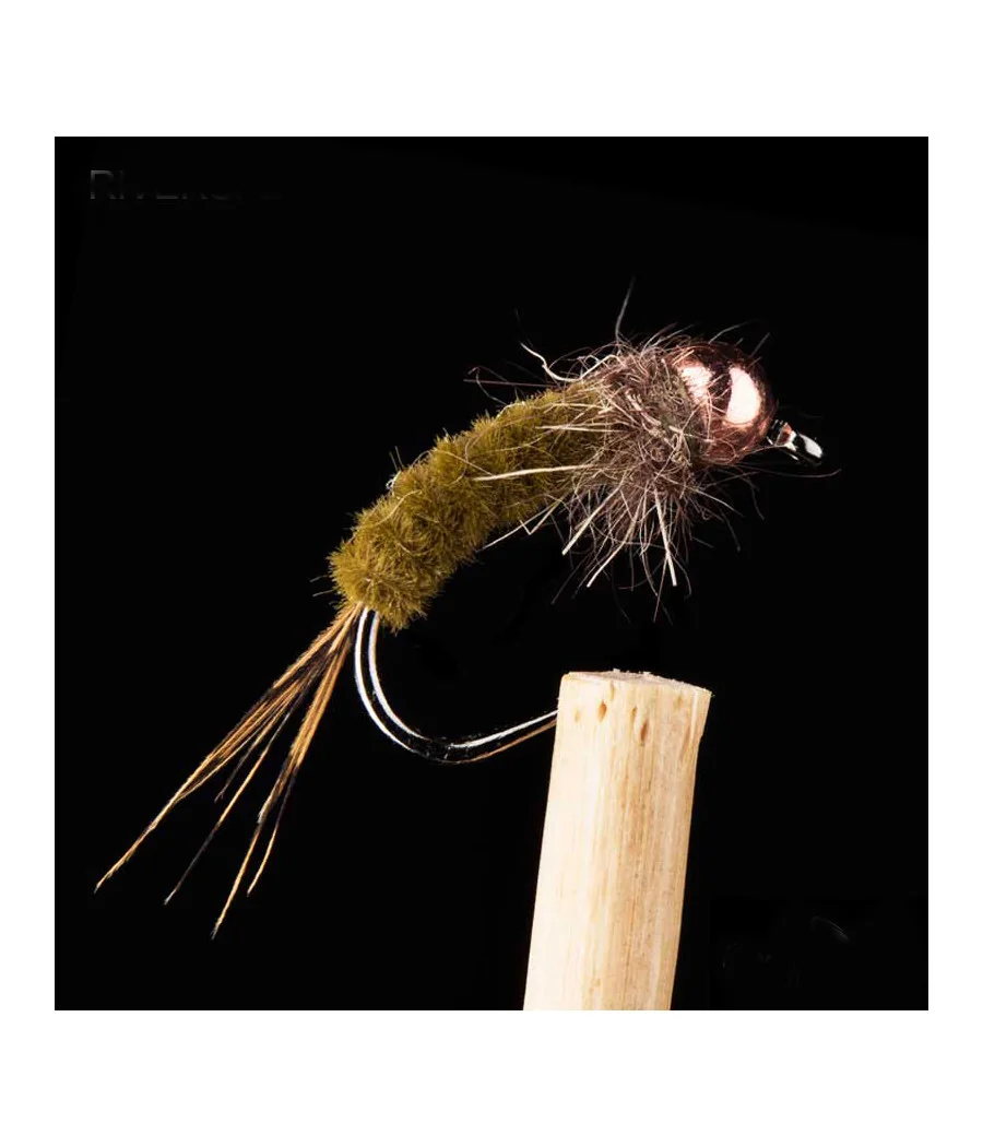 Ninfa Larva Oliva Oscuro Pesca con Mosca