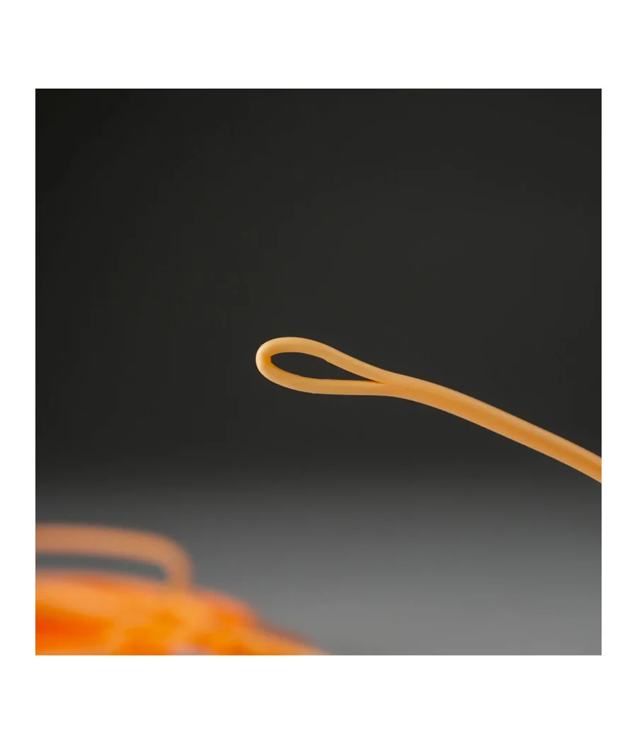 Cabeza Lanzadora Beulah Tonic