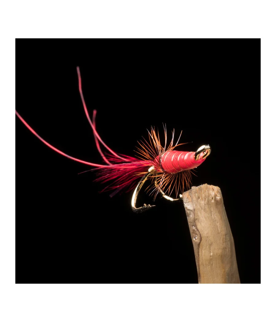 Mouche à Saumon Red Francis