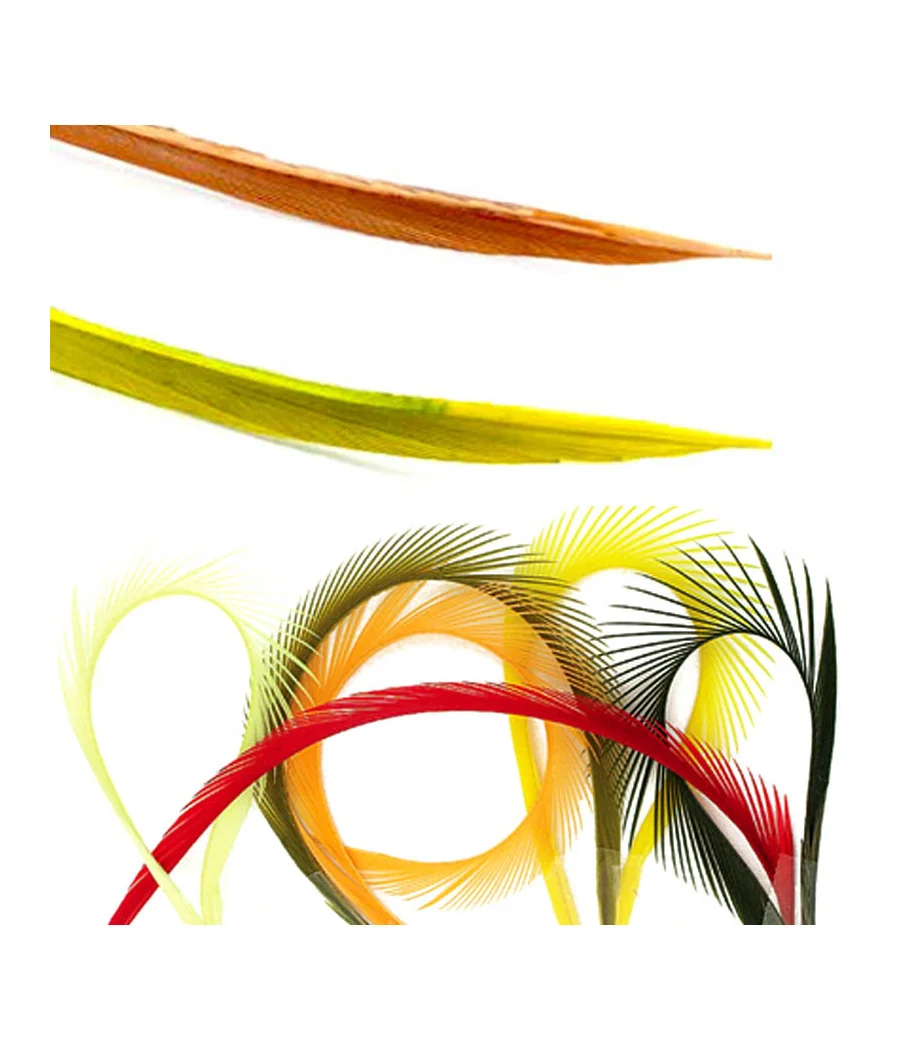 Pluma de Biot de Pavo Veniard