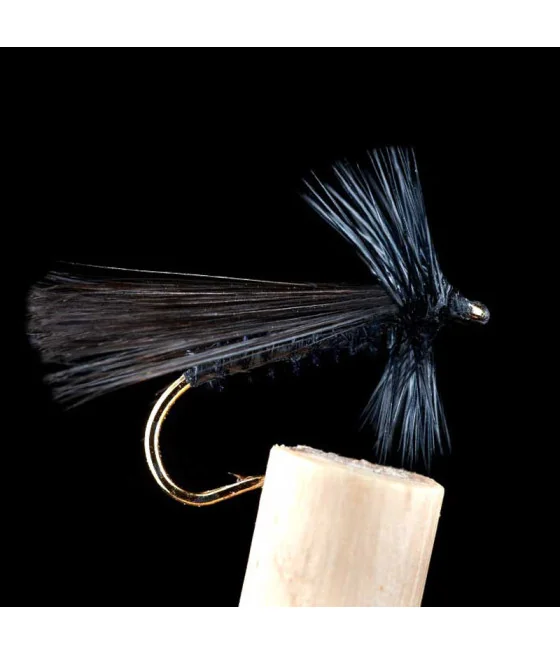 Tricóptero Cóndor Negro