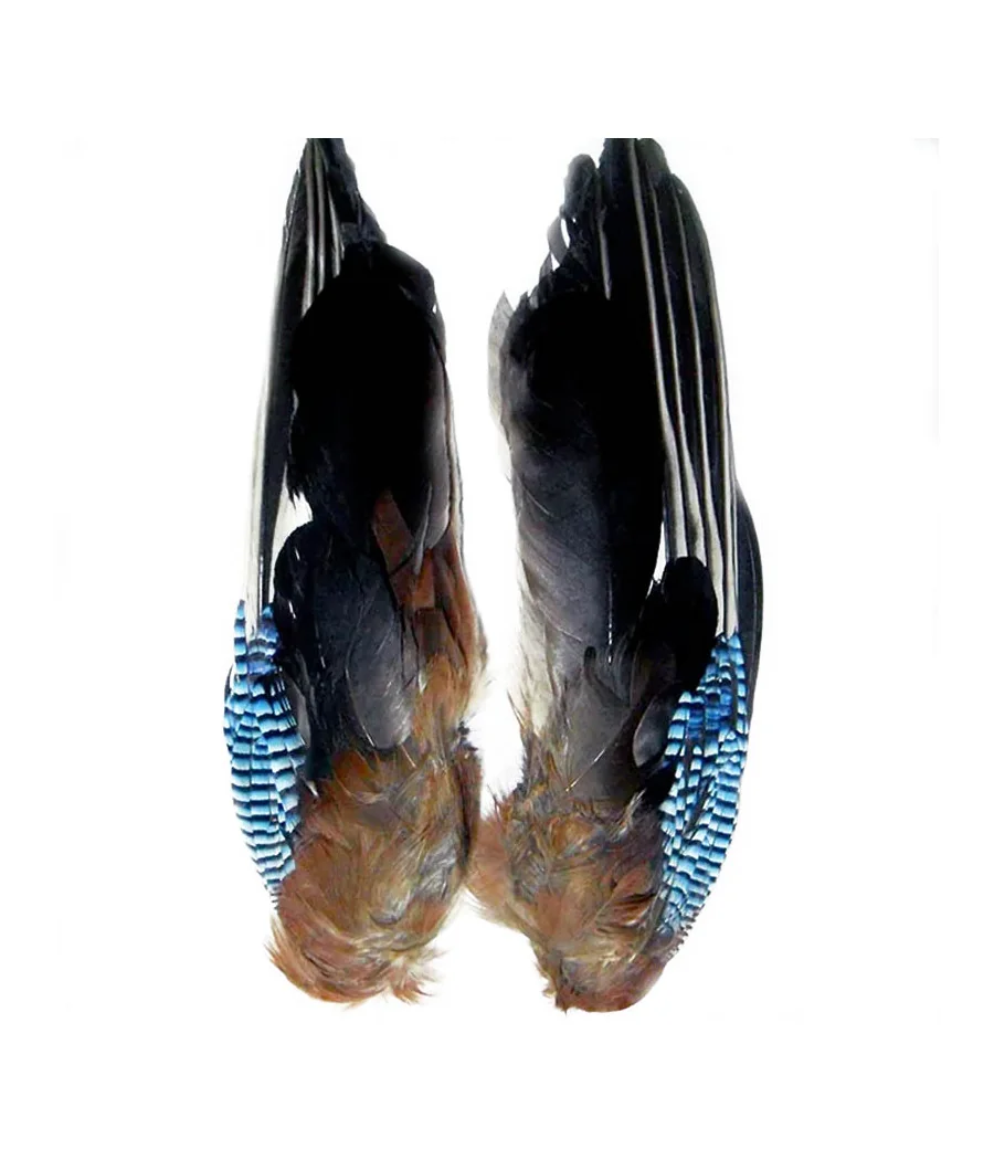 Ailes de Geai Veniard