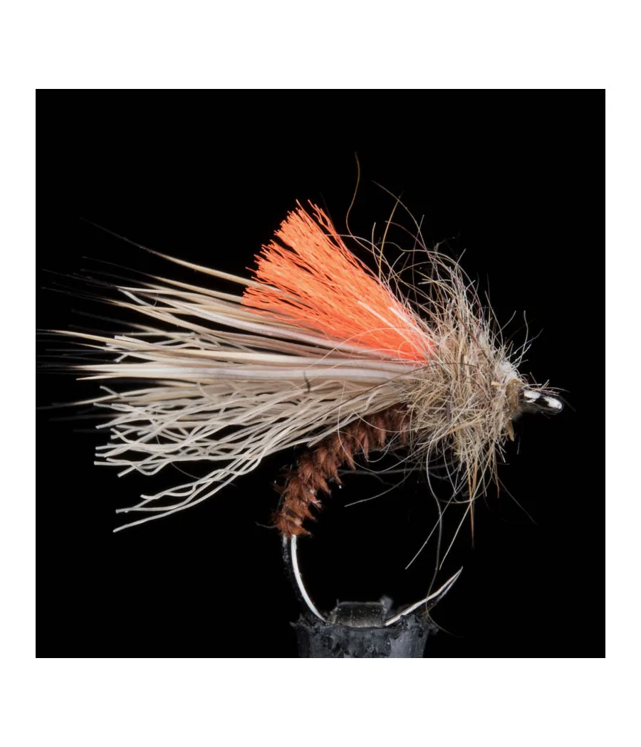 Sedge Cerf Condor Rusty Brun